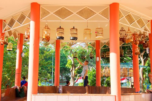 Bird-hanging pavilion for bird lovers